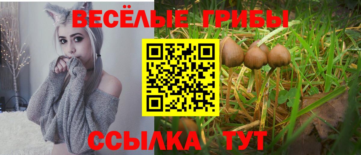 Псилоцибиновые грибы Psilocybine cubensis  хочу наркоту  Верхняя Салда  Вход с VPN 