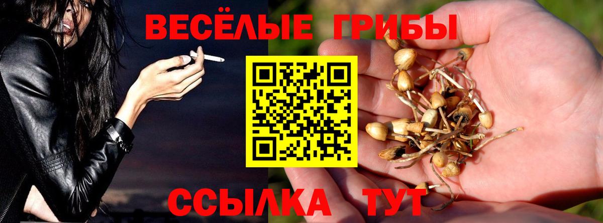 Галлюциногенные грибы ЛСД Верхняя Салда